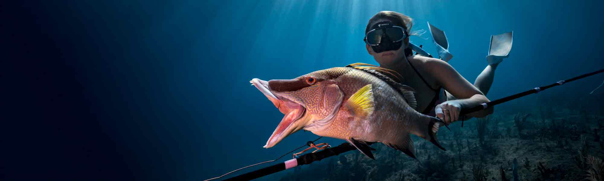 How to Spear Fish: The Greatest Spearfishing Guide Ever Created