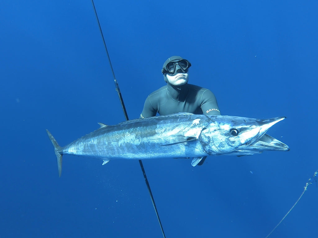 Centerline Polespear | The Headhunter Spearfishing Co. Centerline Polespear | The Headhunter Spearfishing Co.