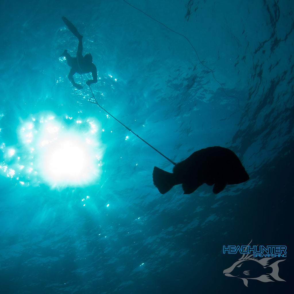 The Headhunter Spearfishing Co.  Designers of performance pole