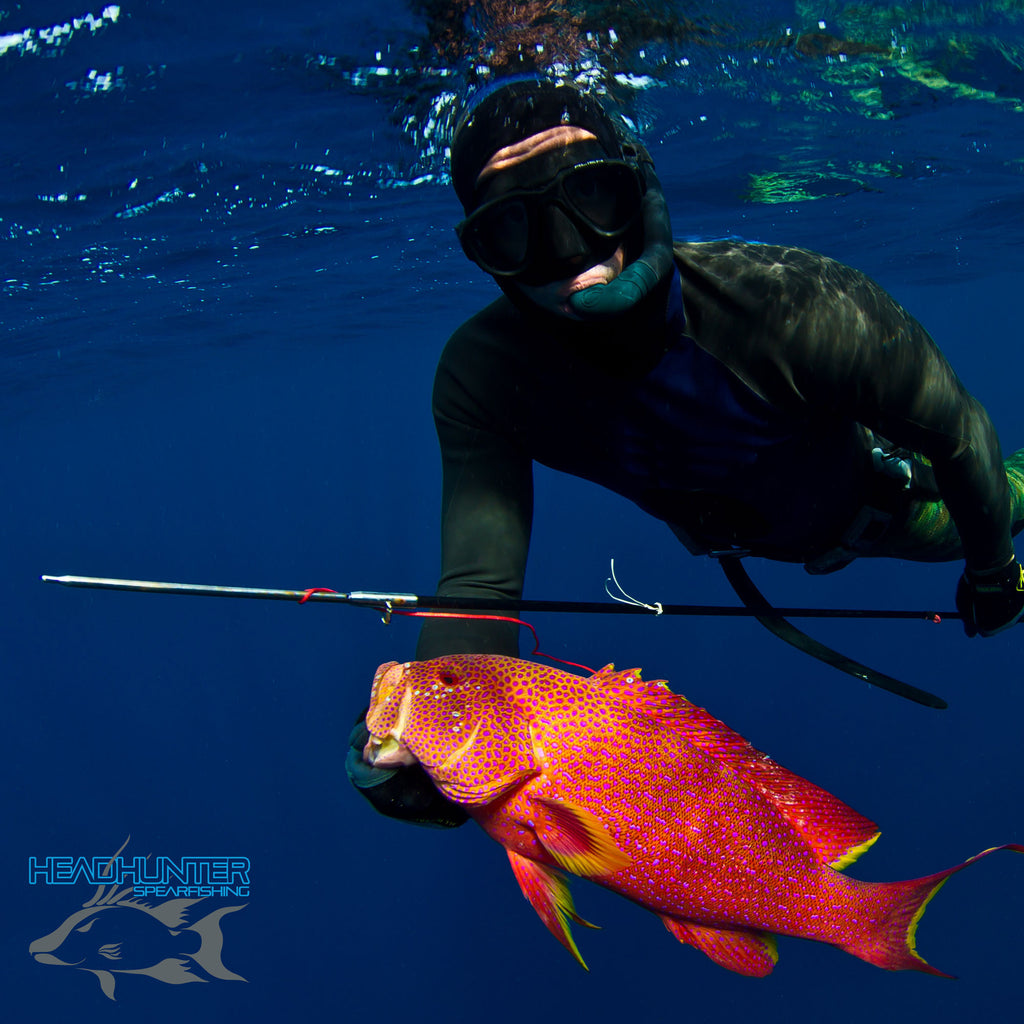 Headhunter Spearfishing Predator Pole Spear