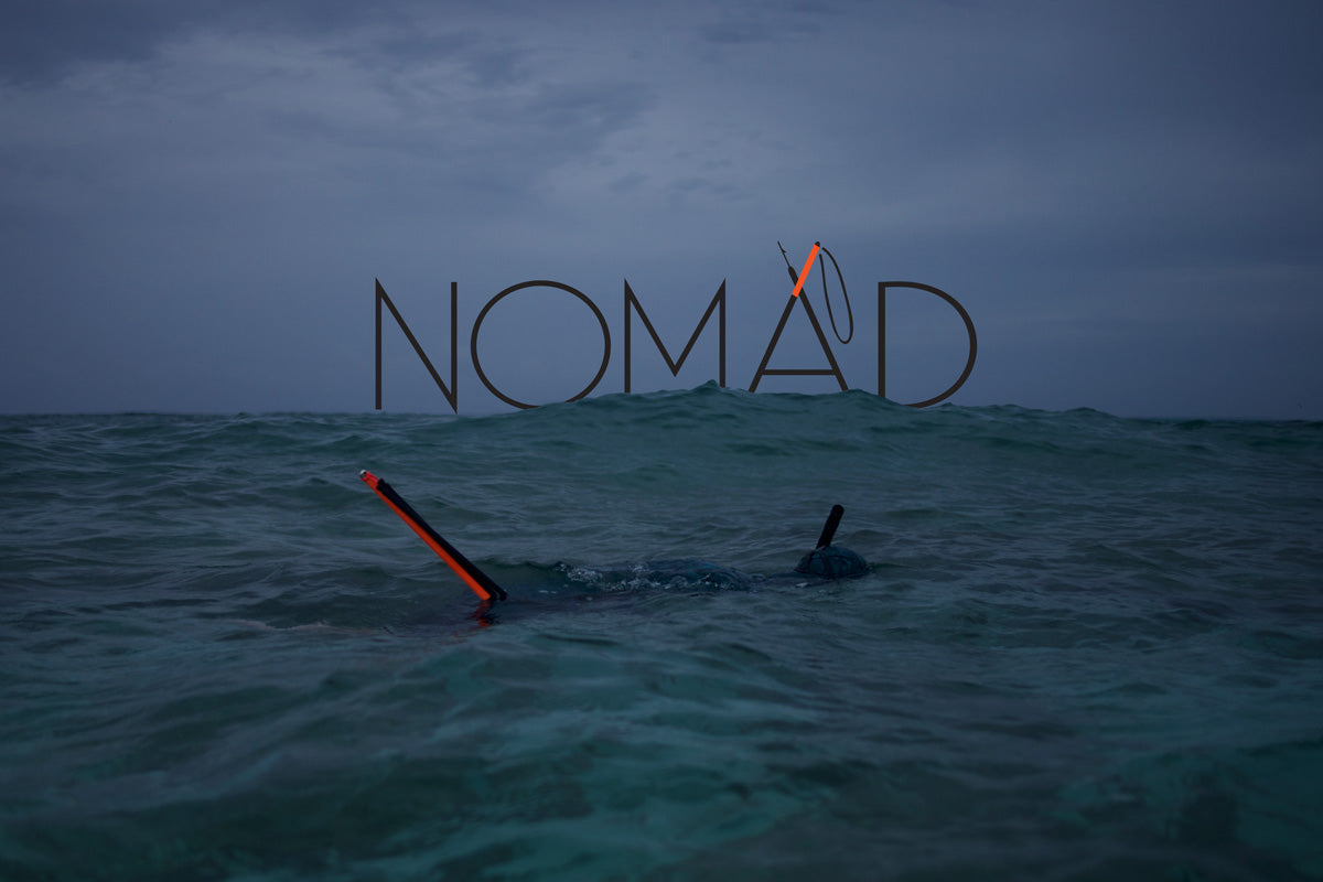 NOMAD Sections